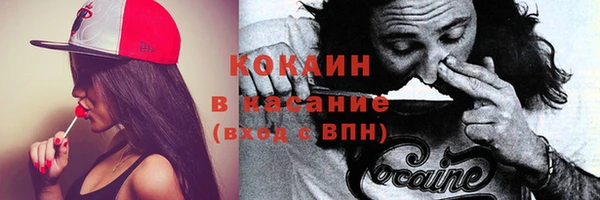 стаф Баксан