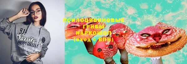 стаф Баксан